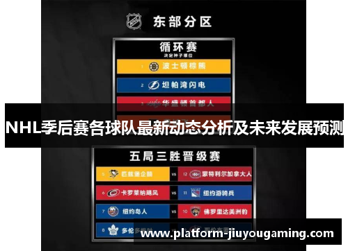 NHL季后赛各球队最新动态分析及未来发展预测