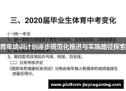 青年培训计划逐步规范化推进与实施路径探索