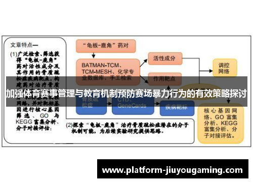 加强体育赛事管理与教育机制预防赛场暴力行为的有效策略探讨