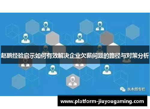 赵鹏经验启示如何有效解决企业欠薪问题的路径与对策分析