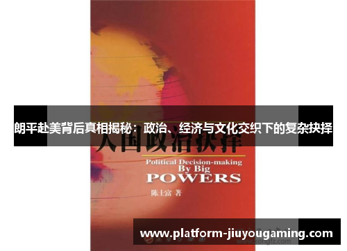 朗平赴美背后真相揭秘：政治、经济与文化交织下的复杂抉择