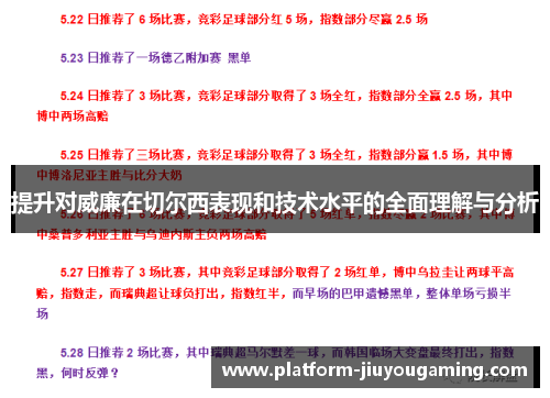 提升对威廉在切尔西表现和技术水平的全面理解与分析